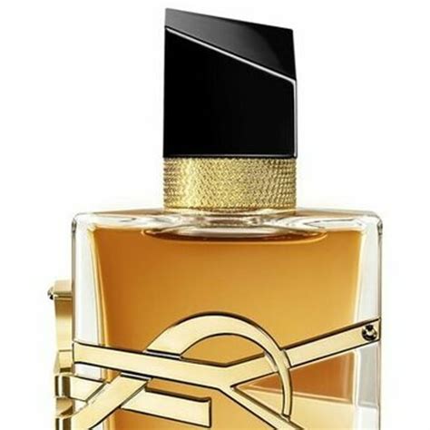 dpl lancome ysl armani|Luxury division becomes L'Oréal group's largest revenue.